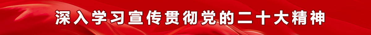 深入学习宣传贯彻党的二十大精神