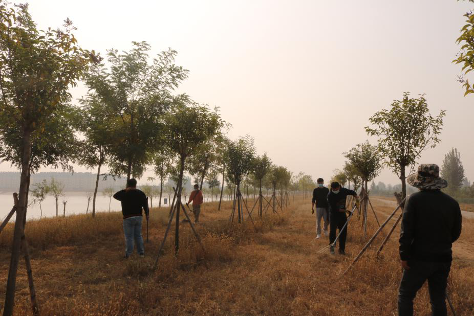 市水务发展公司党支部开展“党员做表率 全员共参与”义务除草活动