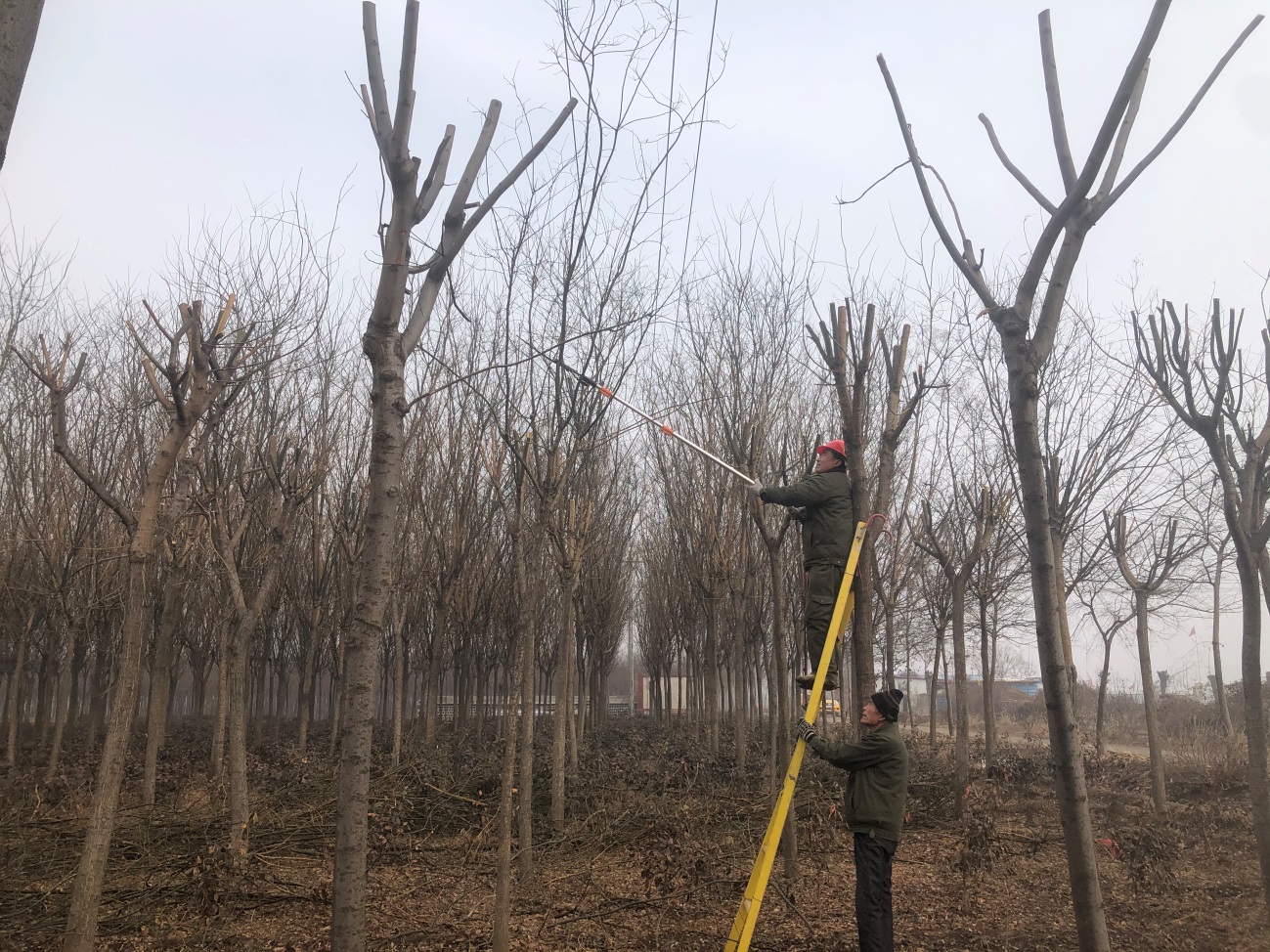 【工业供水】清障护线消隐患  安全生产保供水