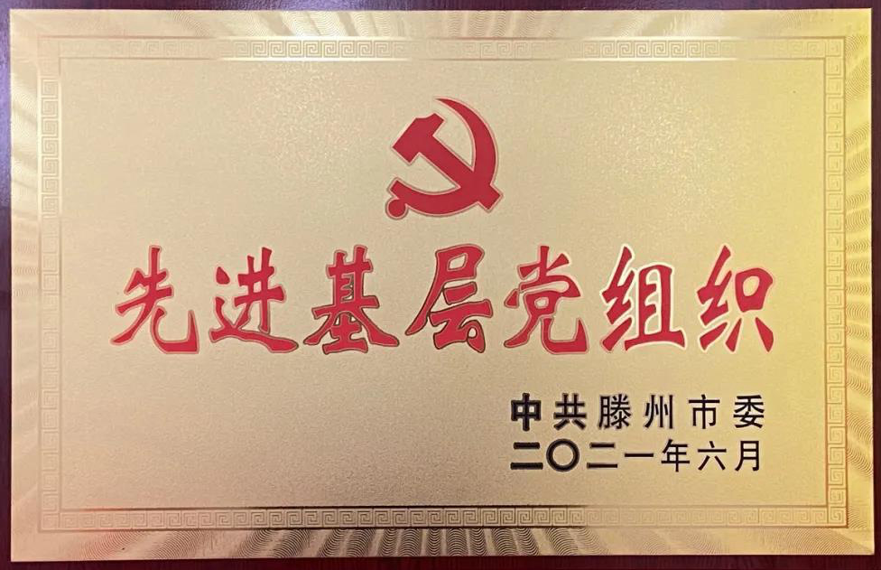 【集团动态】市水务发展集团中共滕州市中润供水有限供水公司工程项目一部支部委员会荣获“滕州市先进基层党组织”称号