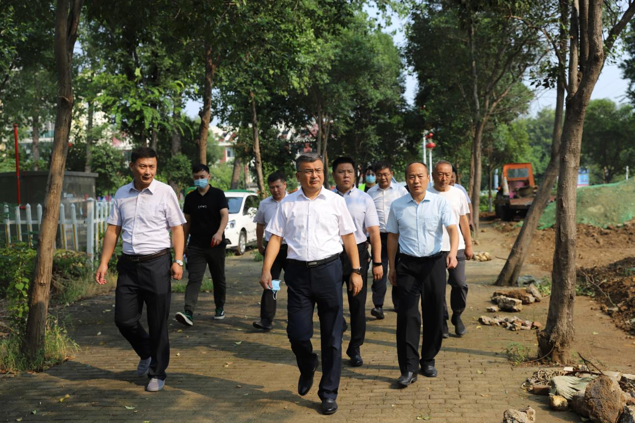 【集团动态】张传纲副市长视察龙泉路绿化提升工程
