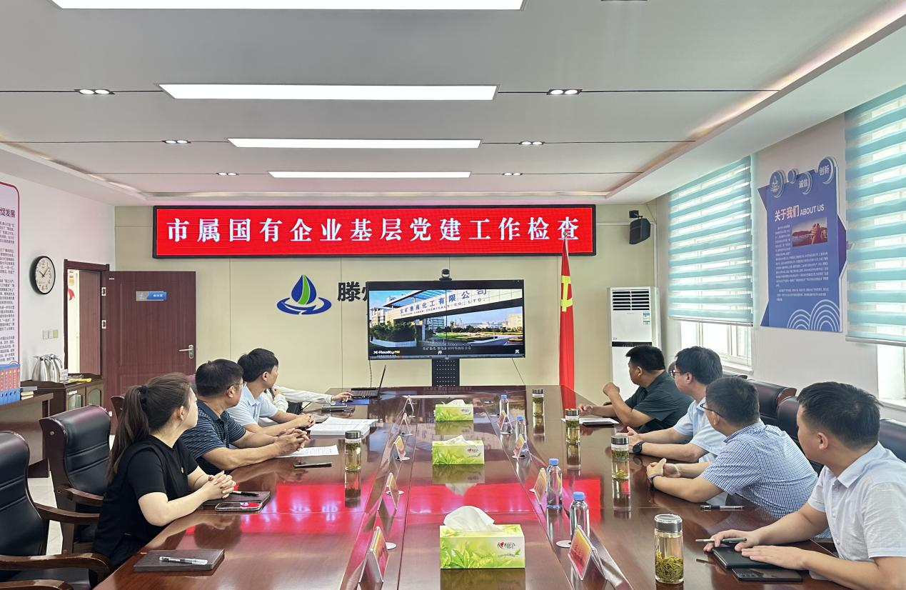 市属国有企业基层党建检查组到集团检查党建工作