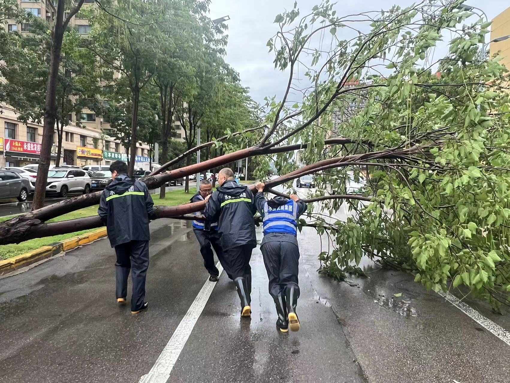 清理路面折断树木，保障市民出行安全