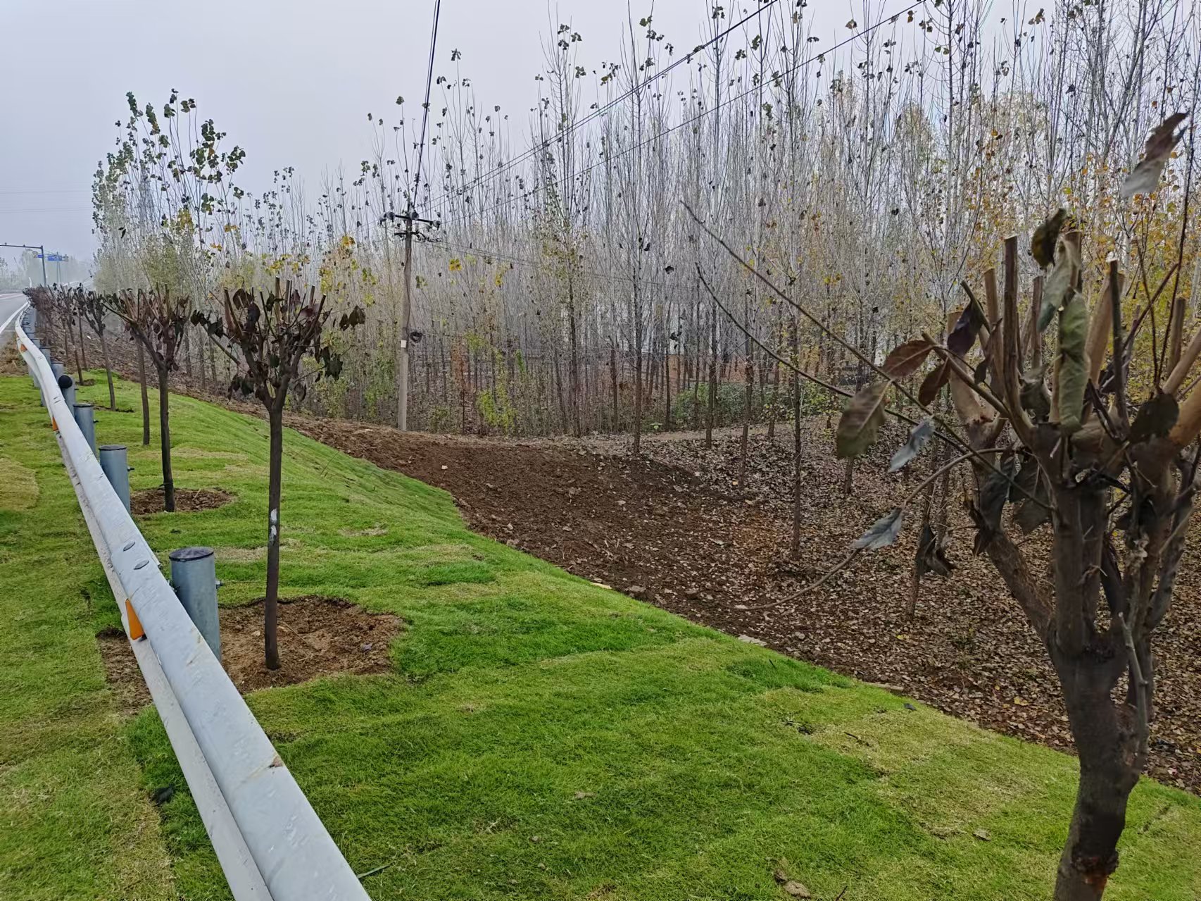 【集团动态】南四湖湖东滞洪区（界郭片）2024年度堤防及进退洪闸维修养护工程进展顺利