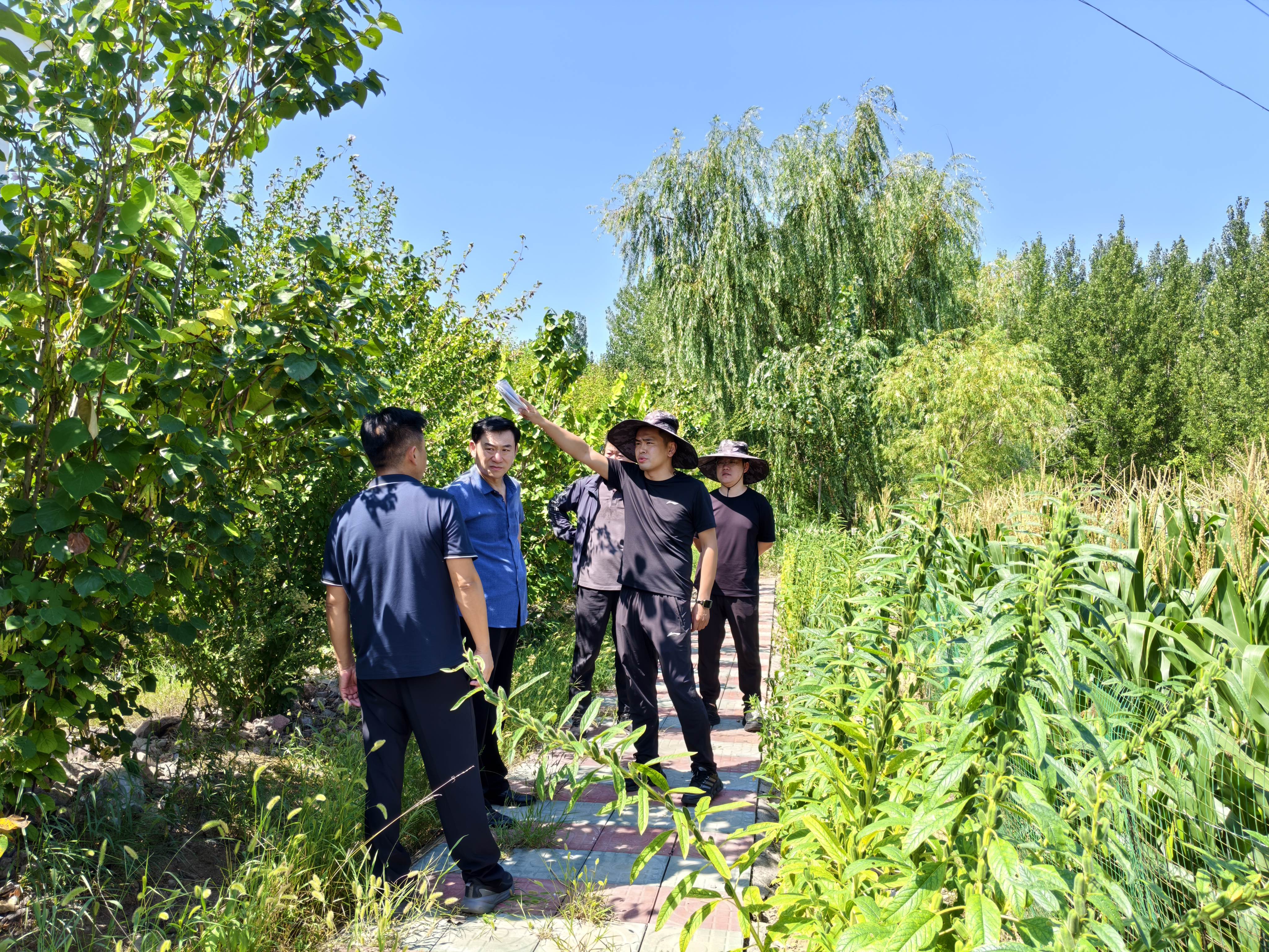 甘桥泵站供电专线迁改现场查看会商施工方案