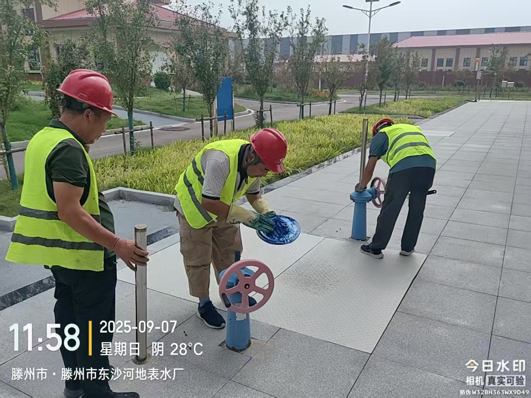 东沙河地表水厂排泥闸板阀螺杆维保