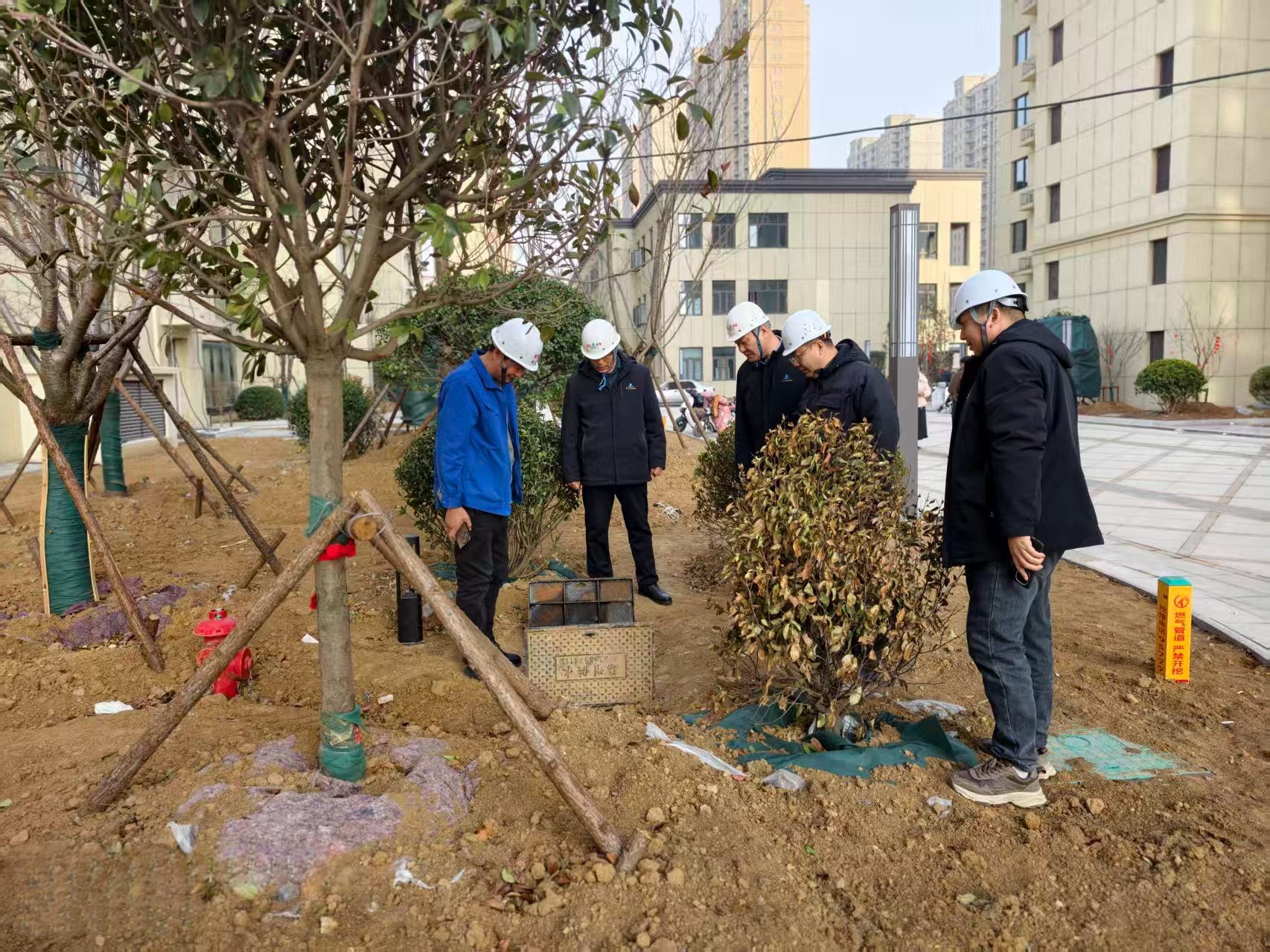 2021513810061357056.jpg 图片2.jpg